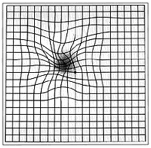 Image of Small Amsler Grid with wavy, distorted lines - how it may appear to someone with AMD